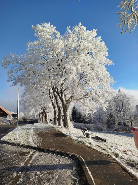 Ferienwohnung Im Harz-Haus-Bruns Clausthal-Zellerfeld Exterior photo